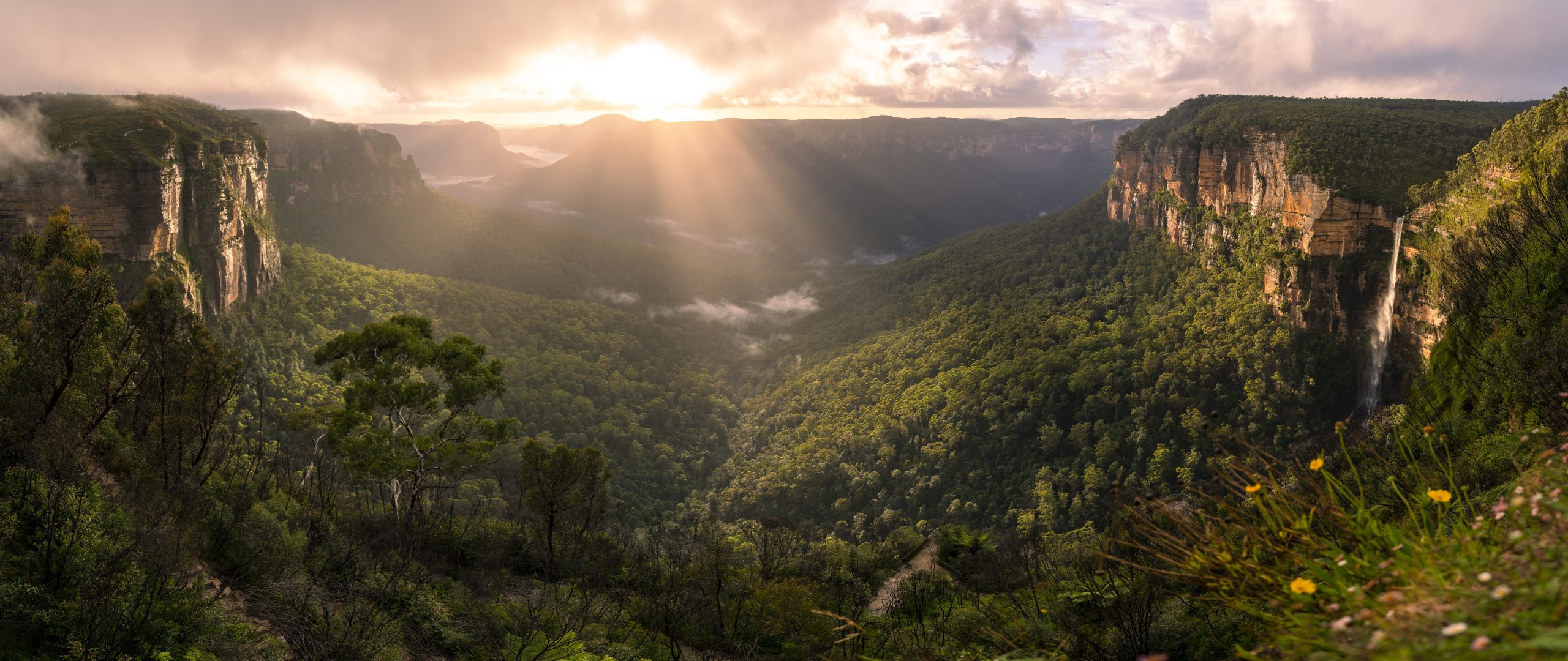 panorama blue mountains